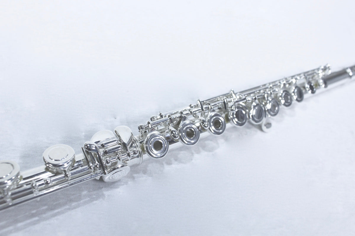 Di Zhao -501 Intermediate Flute