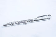 The Mini-Di Flute for Young Beginners