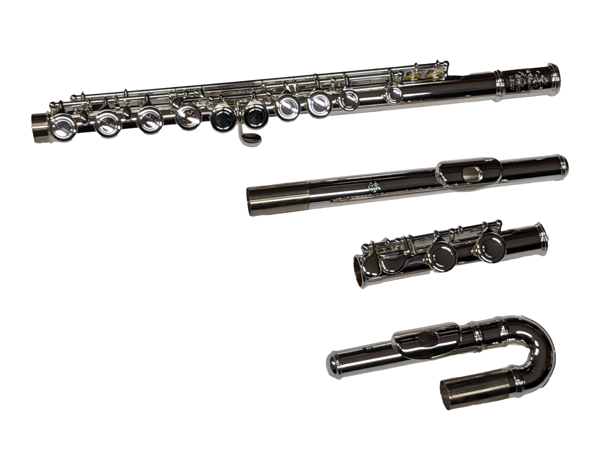 DZ 100C Beginner Flute With Curved Head Joint