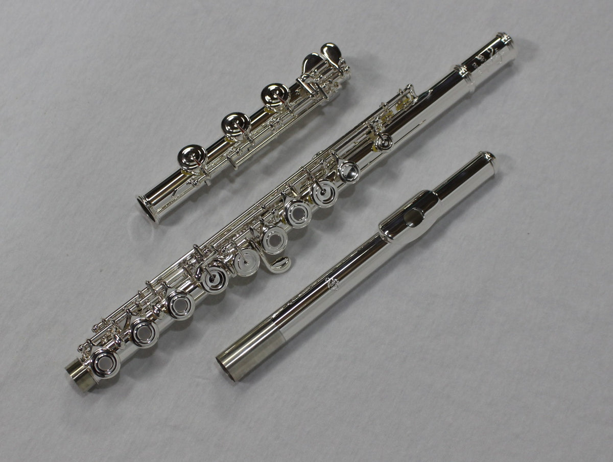 Di Zhao - 401 Intermediate Flute