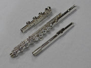 Di Zhao - 401 Intermediate Flute
