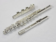Di Zhao - 801 Advanced Flute