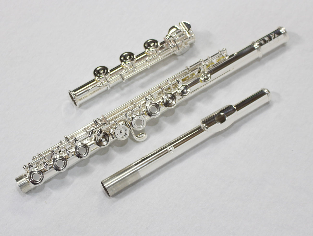 Di Zhao - 801 Advanced Flute