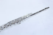 Di Zhao - D-SP Professional Flute