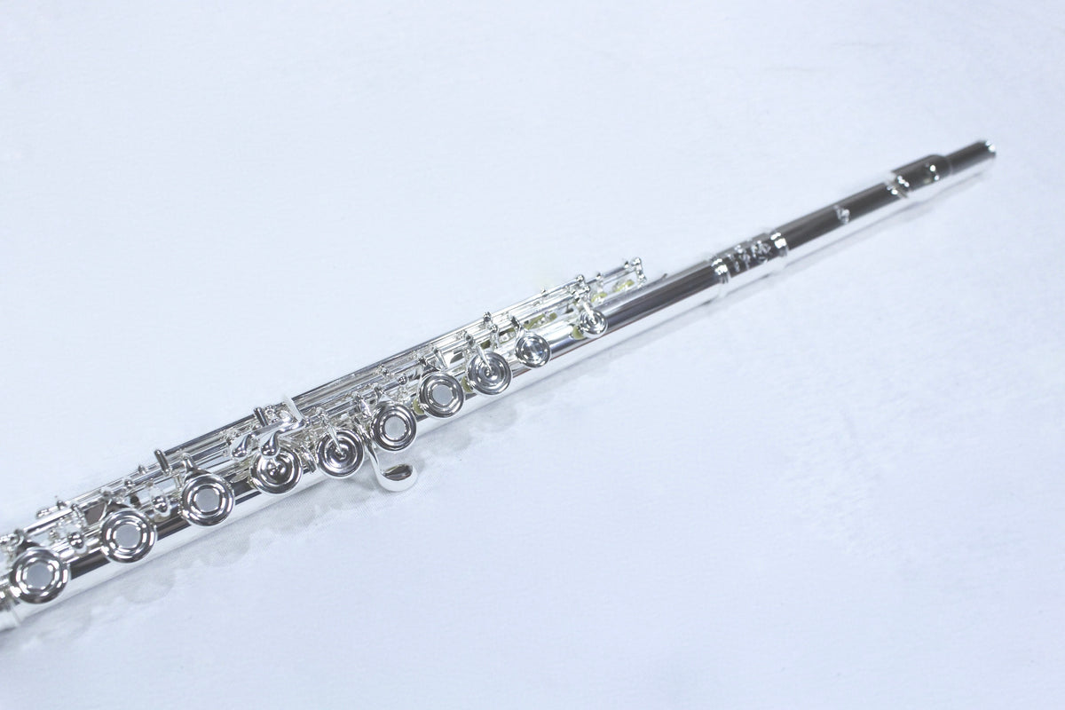Di Zhao - D-SP Professional Flute