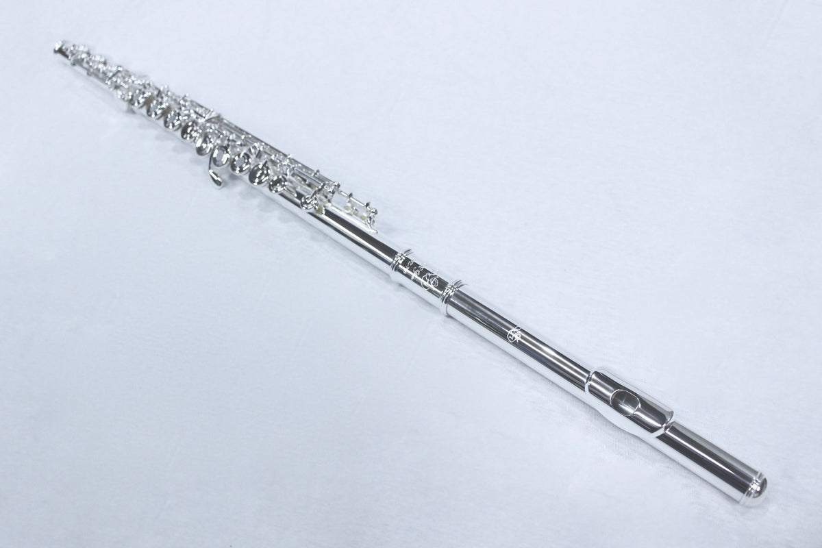 Di Zhao - D-SP Professional Flute