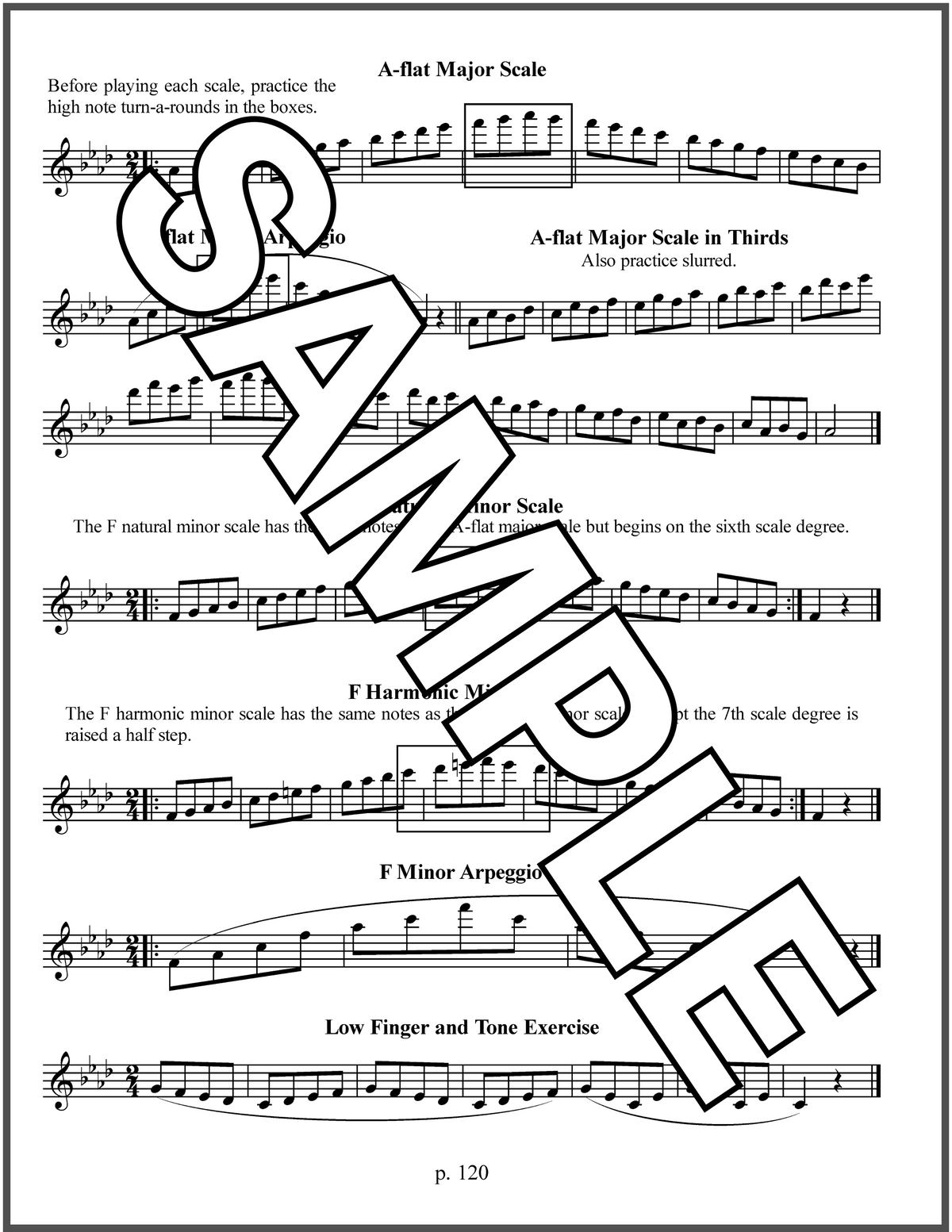 Blocki Flute Method Student Book 3