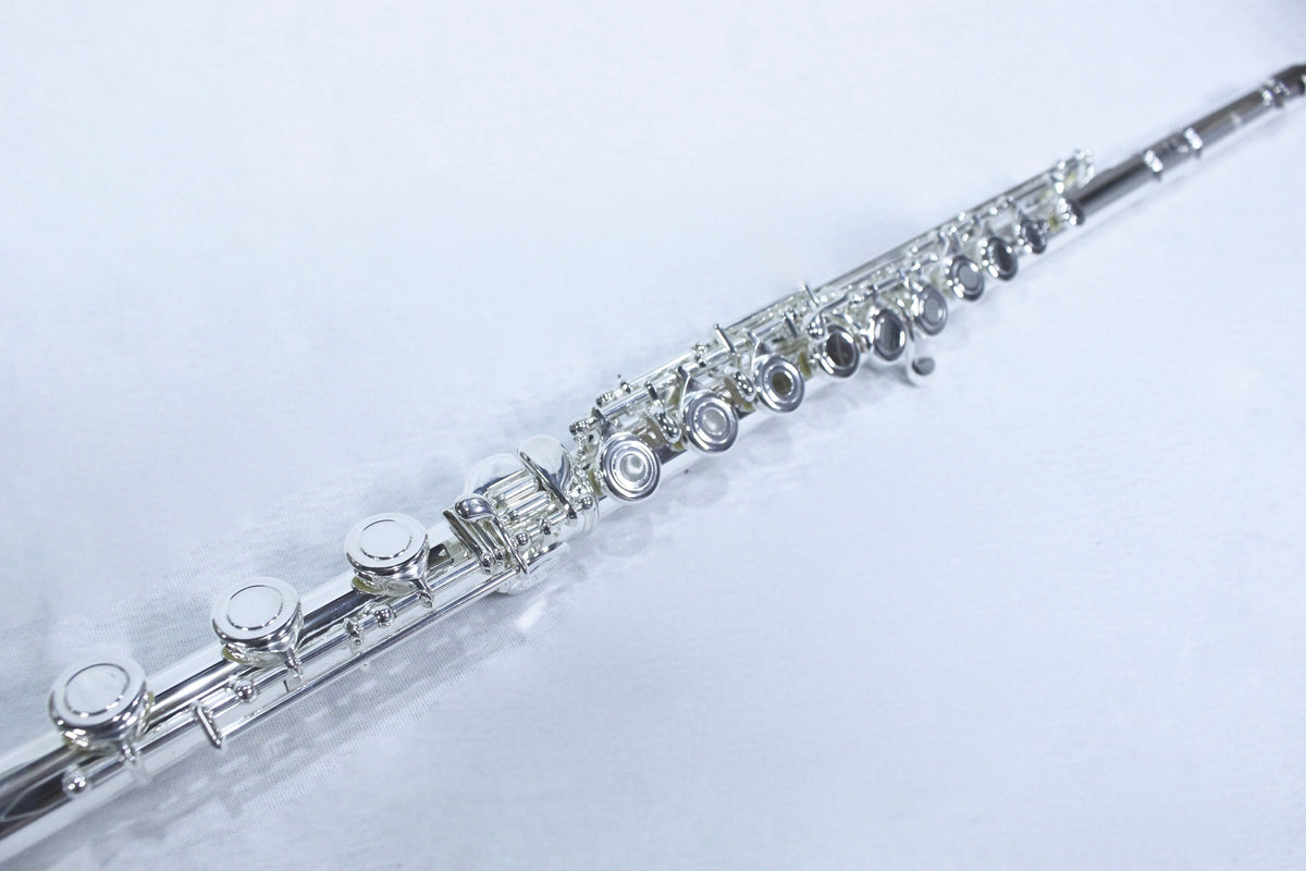 The DZ-600  with a Solid Silver Body and Head Joint