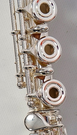 DZ-400 has open tone holes.