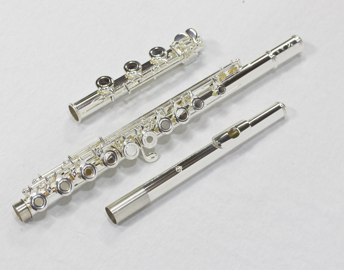 Di Zhao - 701 Advanced Flute