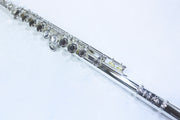 The DZ-200 Closed-hole Beginning Flute