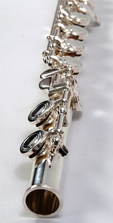 The DZ-200 has a regular  C foot joint and closed tone holes