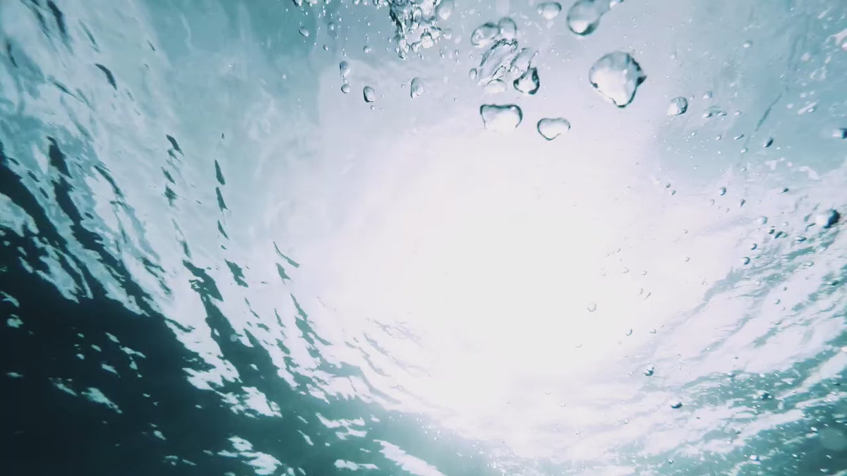 Load video: Baby Shark Harmonics PDF