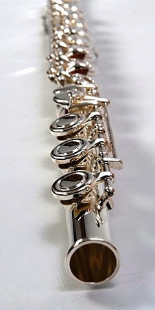 The DZ-400 has an extra key on the foot joint with an extended range to low B.